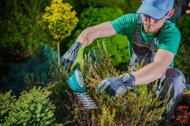 landscaping services Mount Clemens